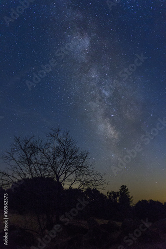 Εκτύπωση καμβά Milky Way in Wine Country