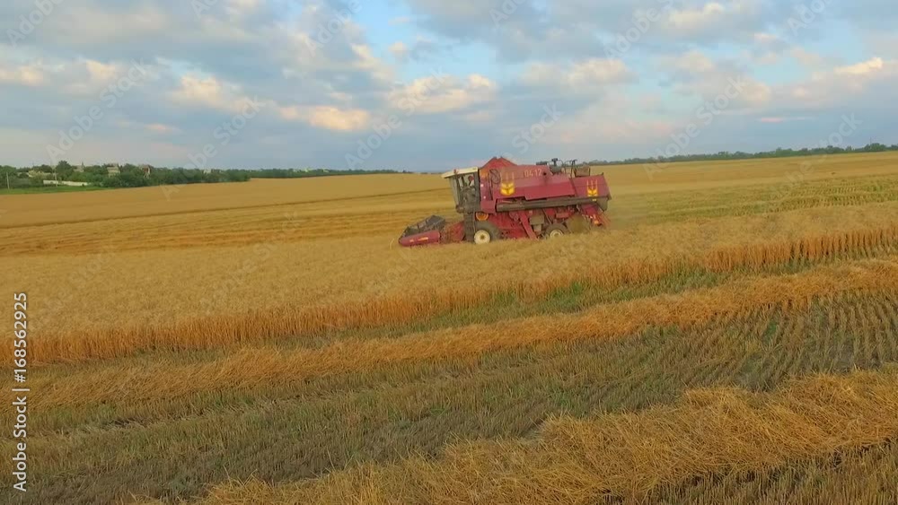 AERIAL VIEW. Farm Machinery in the Field Harvesting Wheat AERIAL VIEW. Farm Machinery in the Field Harvesting Wheat