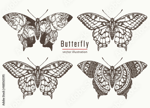 Butterfly hand drawn collection. Realistic butterfly tattoo and t-shirt design. Beautiful Swallowtail boho t-shirt design. Mystical esoteric symbol of freedom, travel, tourism