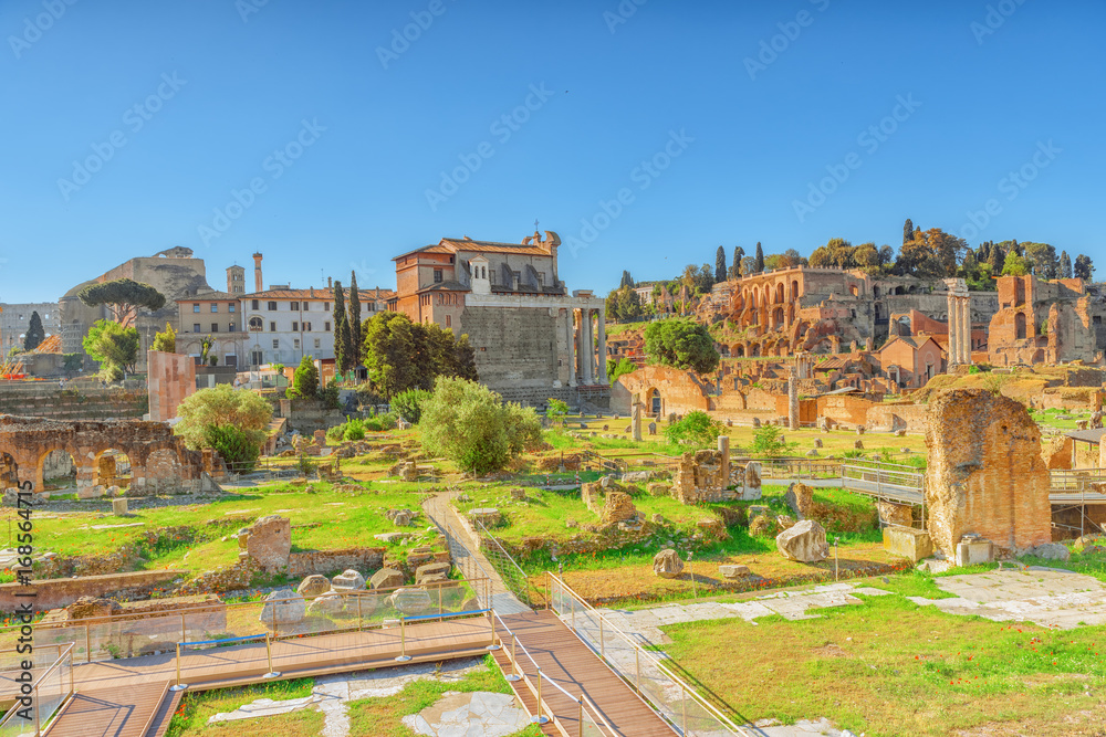 Archaeological and historical objects in Rome, united by the name - Roman Forum. Italy.