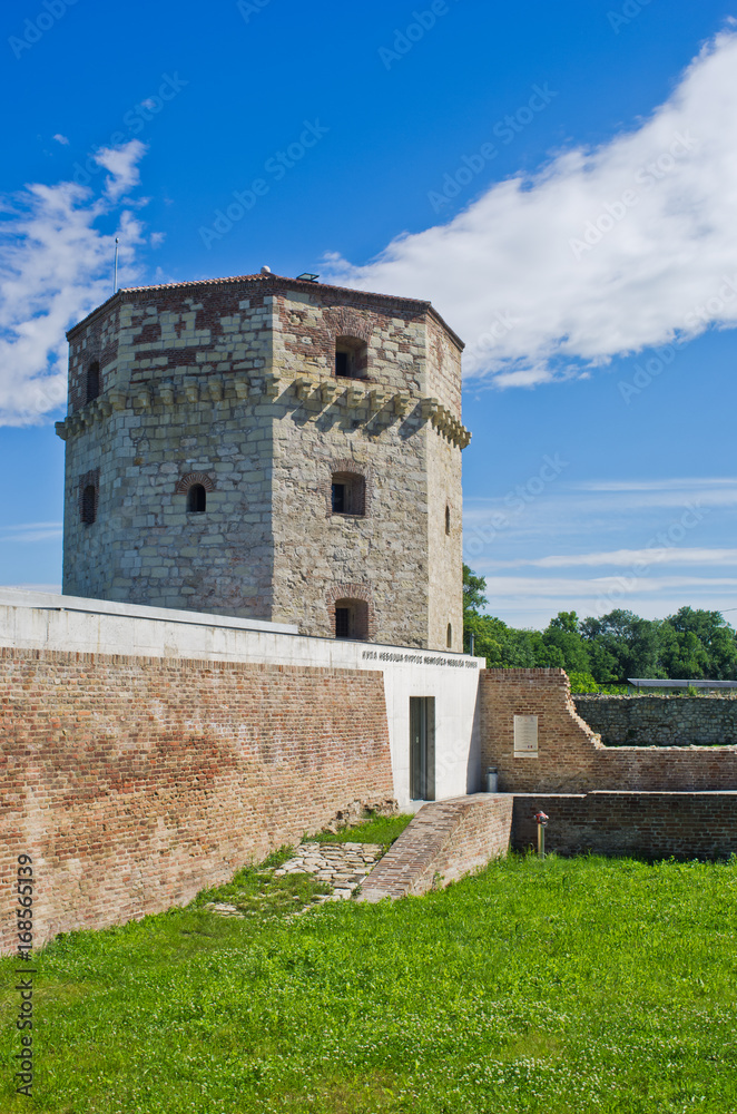 Obraz premium Nebojsa tower between Kalemegdan fortress and Danube river at spring in Belgrade, Serbia