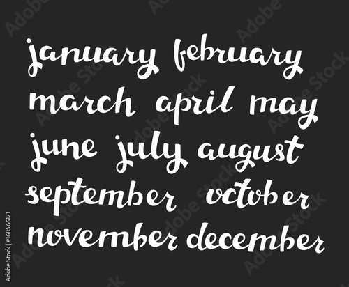 Hand-drawn Calendar Set. Set of Months of the Year. Vector Calligraphy.