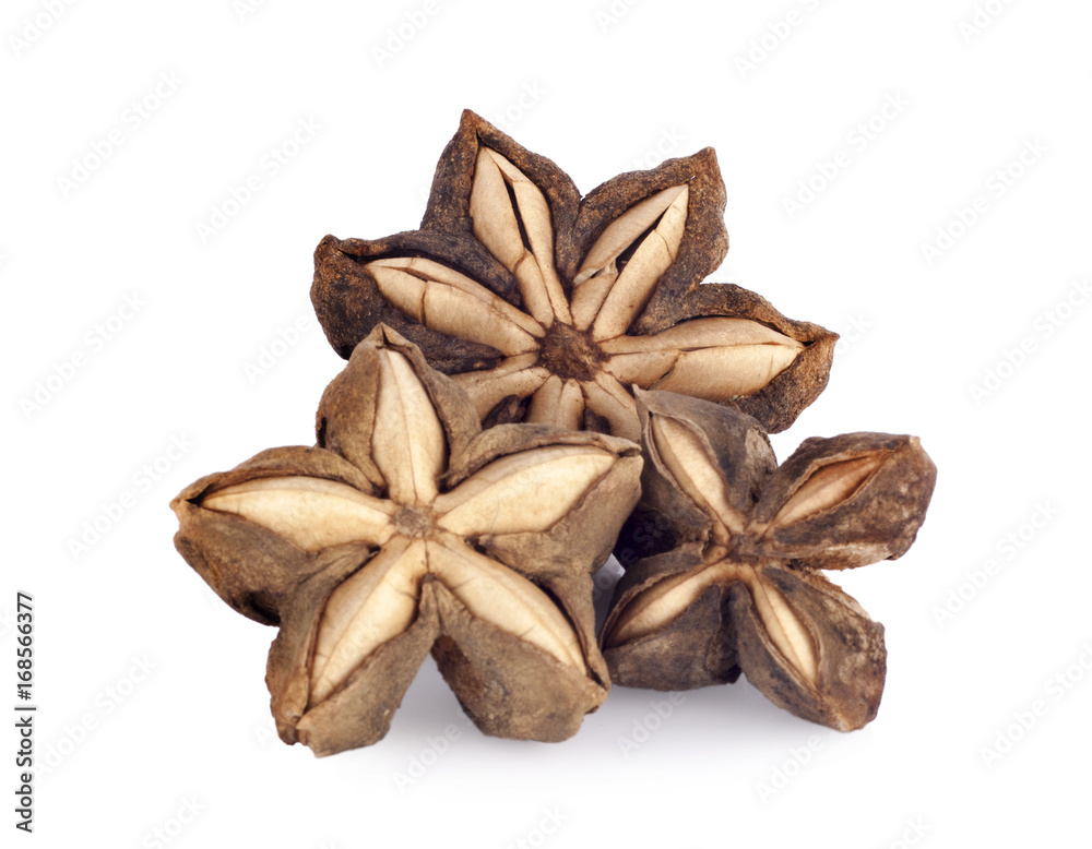 Sacha inchi peanut seed isolate on white background Sacha inchi peanut seed isolate on white background