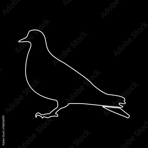 Dove white color icon .