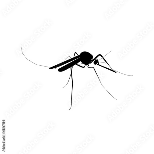 Mosquito black color icon .