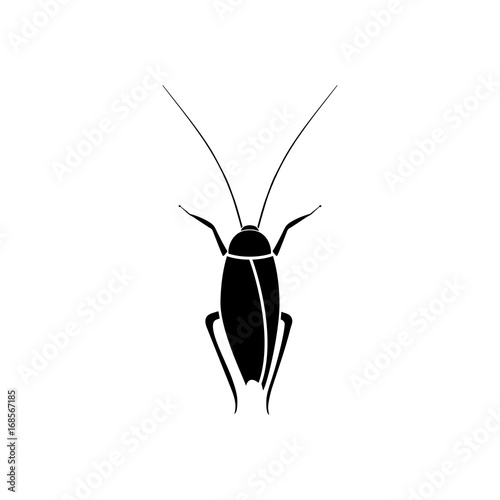 Cockroach black color icon .