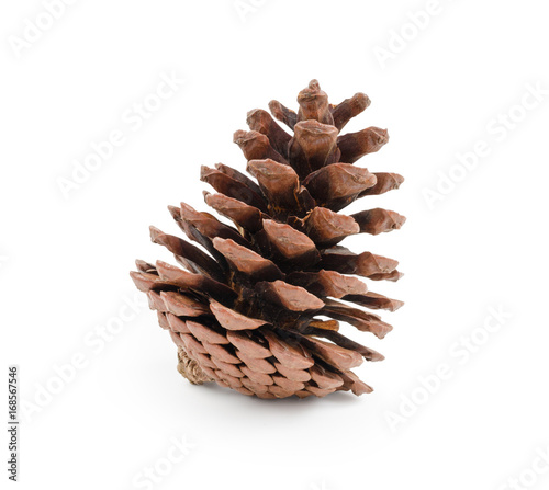 Pine cone isolated on white background (clipping path included) for Christmas decoration, holiday decorative concept