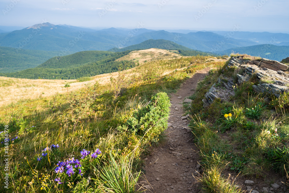 Naklejka premium Bieszczady, widok z bukowego berda, w oddali Połonina Caryńska