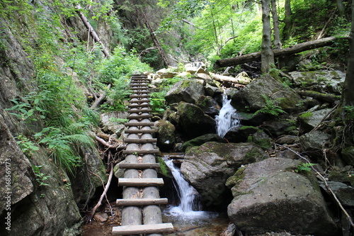 Foot bridge, Via ferrata of Mountain rescue service near Martin town, Slovakia photo