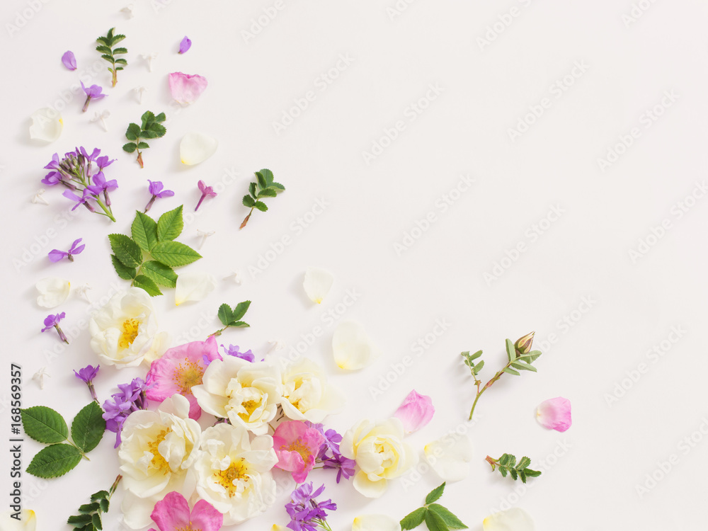 Fototapeta letnie kwiaty na białym tle