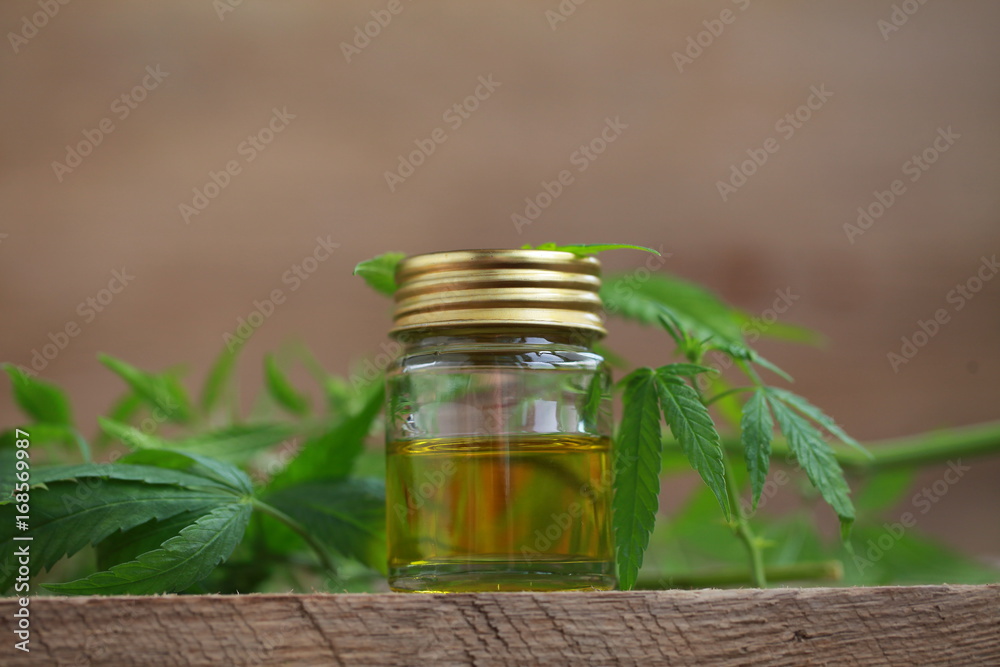 A cannabis leaf and a bottle of hemp oil on a wooden table A cannabis leaf and a bottle of hemp oil on a wooden table