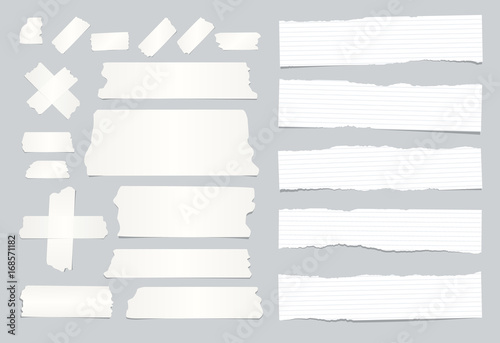 White ripped ruled, lined note, copybook, notebook paper strips, sticky, adhesive tape stuck on grey background.