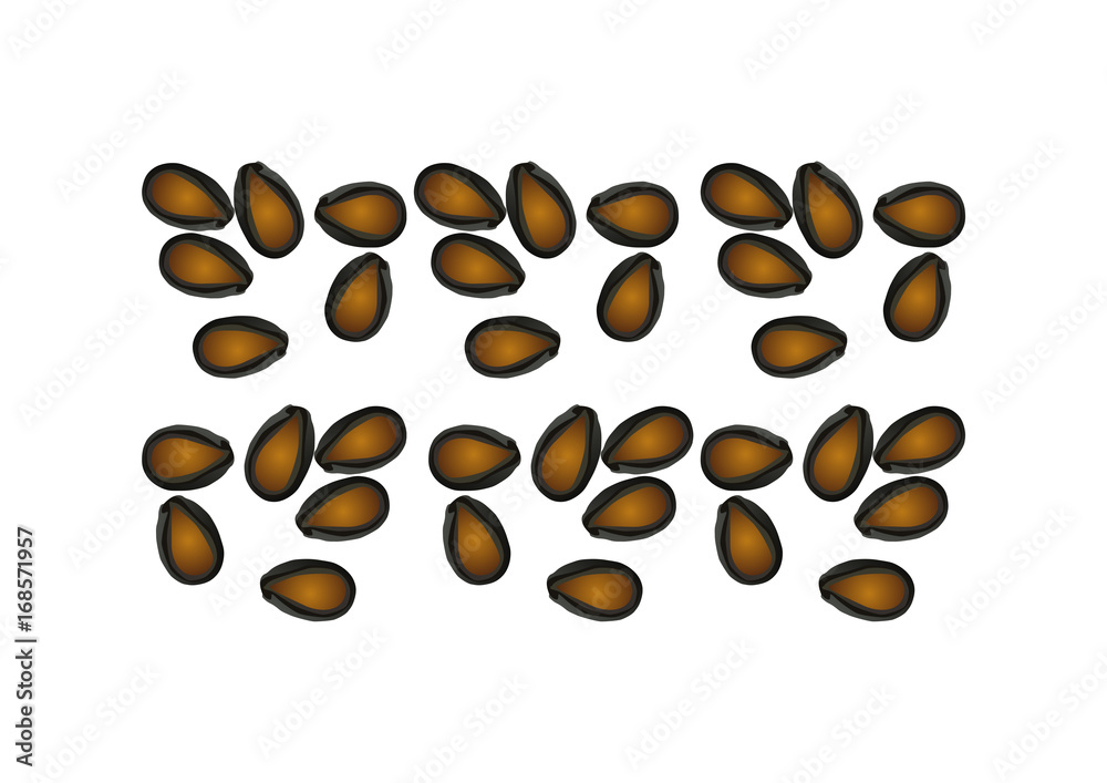 Obraz premium Watermelon Seeds