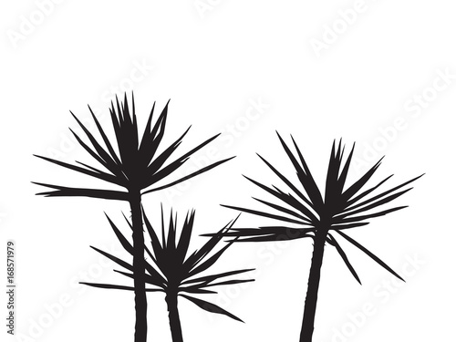 Silhuette Palm on the white background