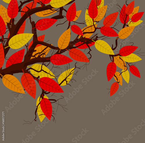 Colored Spring Leaves Branch - Nature Background