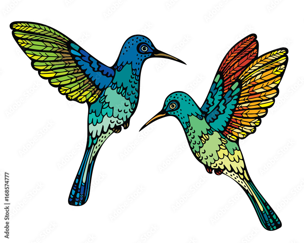 Obraz premium Vector hummingbirds.