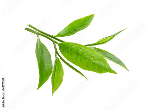 green tea leaf isolated on white background