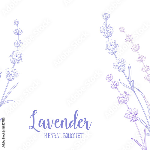 The lavender elegant card with frame of flowers and text. Lavender garland for your text presentation. Label of soap package. Label with lavender flowers. Vector illustration.