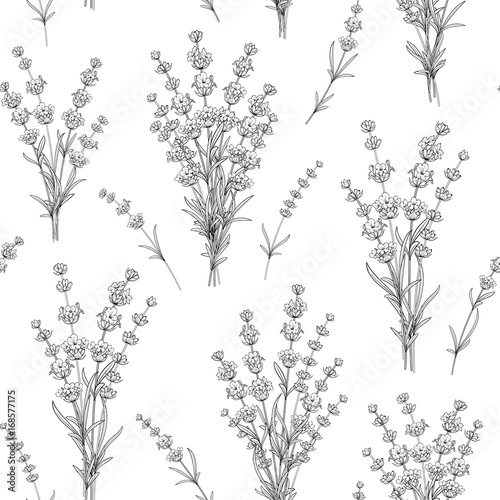 Seamless pattern of lavender flowers on a white background. Watercolor pattern with Lavender for package paper. Vector illustration.