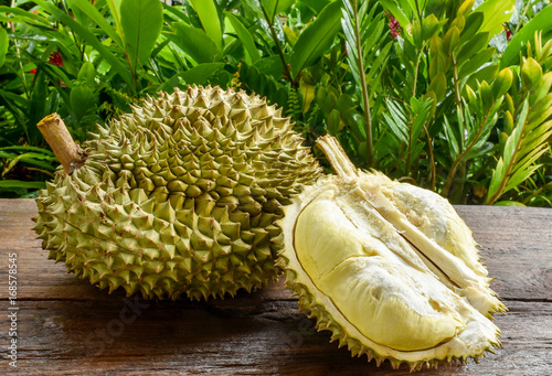 Ripe Durian special selected for durian lovers ready to eat condition,on wood background. Durian is known as King of fruits. It is smelly and the shell is covered with nails. photo