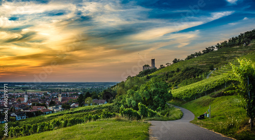 Sonnenuntergang in Weinbergen mit Burgruine photo