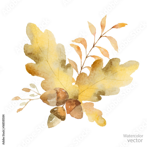Watercolor vector autumn bouquet of branches and oak leaves isolated on white background.