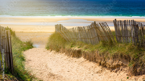 Path to the beach, Quiberon's landscape, Bretagne (Brittany), France