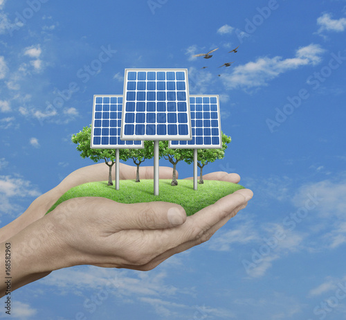 Solar cell with trees and grass in man hands over blue sky, white clouds and birds, Ecological concept
