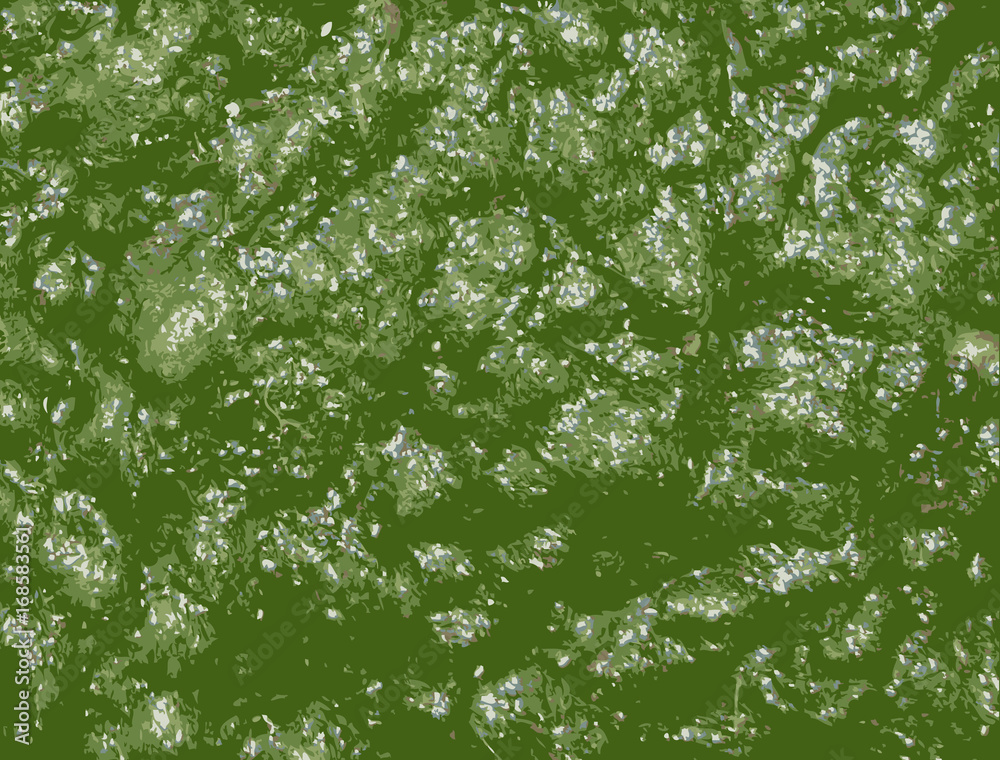 Lichen Texture