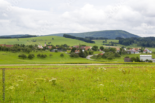 Black Forest in Germany