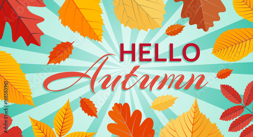 Hello Autumn background template with bright leaves. Vector illustration