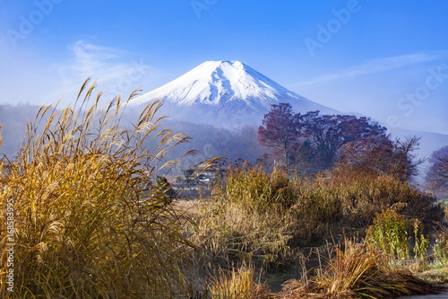 秋の富士山と忍野の風景 © photop5