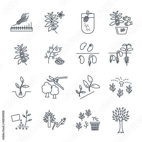 set of thin line icons plant, herb, grower, coffee, beans, barley