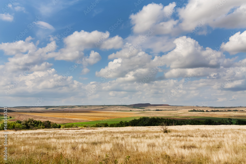 Summer landscape in Ukrainian steppe with dry yellow grass under a blue sky with clouds