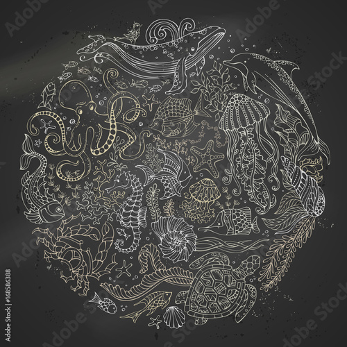 Circle vector set of chalk sealife animals on blackboard background.
