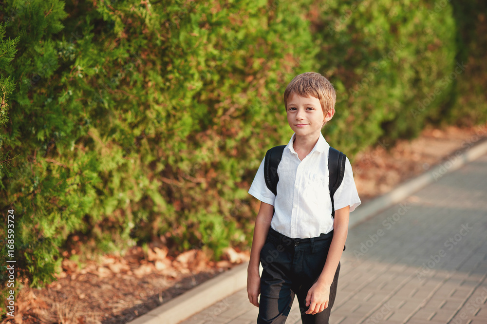 Little schoolboy comes back from school in good mood. The boy goes on a footpath. He has raised eyes to the sky and smiles. Behind shoulders at the pupil a satchel. Little schoolboy comes back from school in good mood. The boy goes on a footpath. He has raised eyes to the sky and smiles. Behind shoulders at the pupil a satchel.
