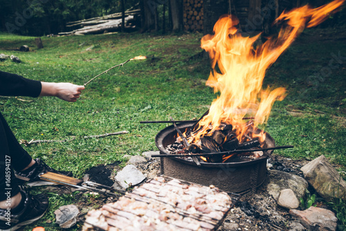 picnic, meat on bonfire photo