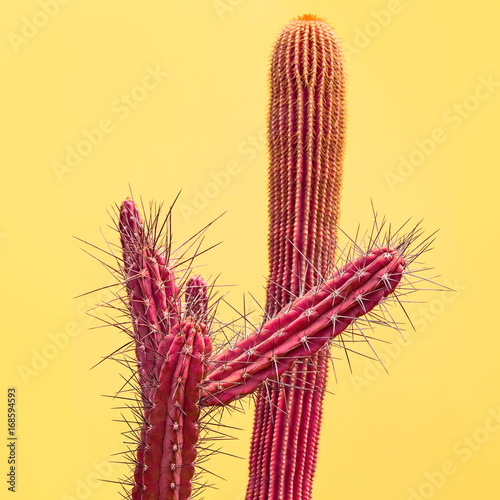 Tablou pe pânză Pink Cactus Set