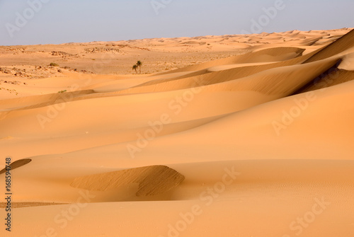 champ de dunes