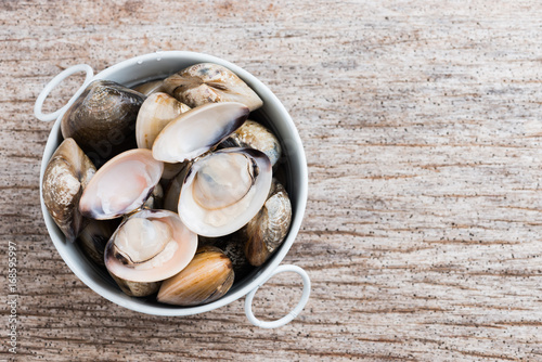 Fresh enamel venus shell edible saltwater clams photo