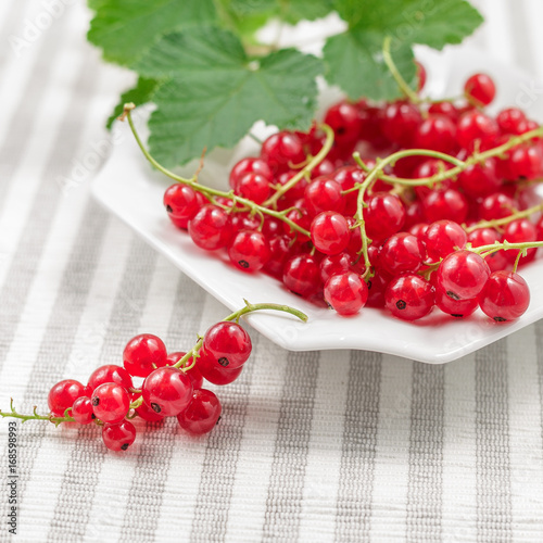 Redcurrants on plate over striped textile background