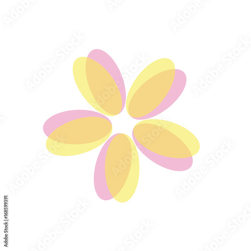Yellow and pink flower isolated on white background