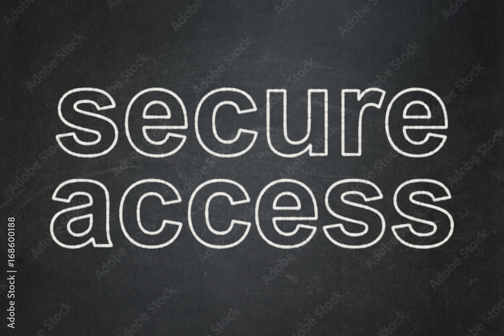 Fototapeta premium Security concept: Secure Access on chalkboard background
