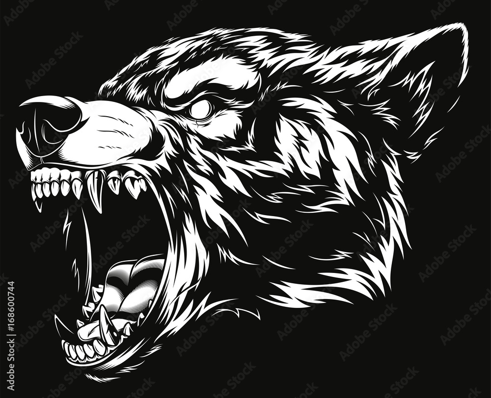 Obraz premium Głowa dzikiego wilka