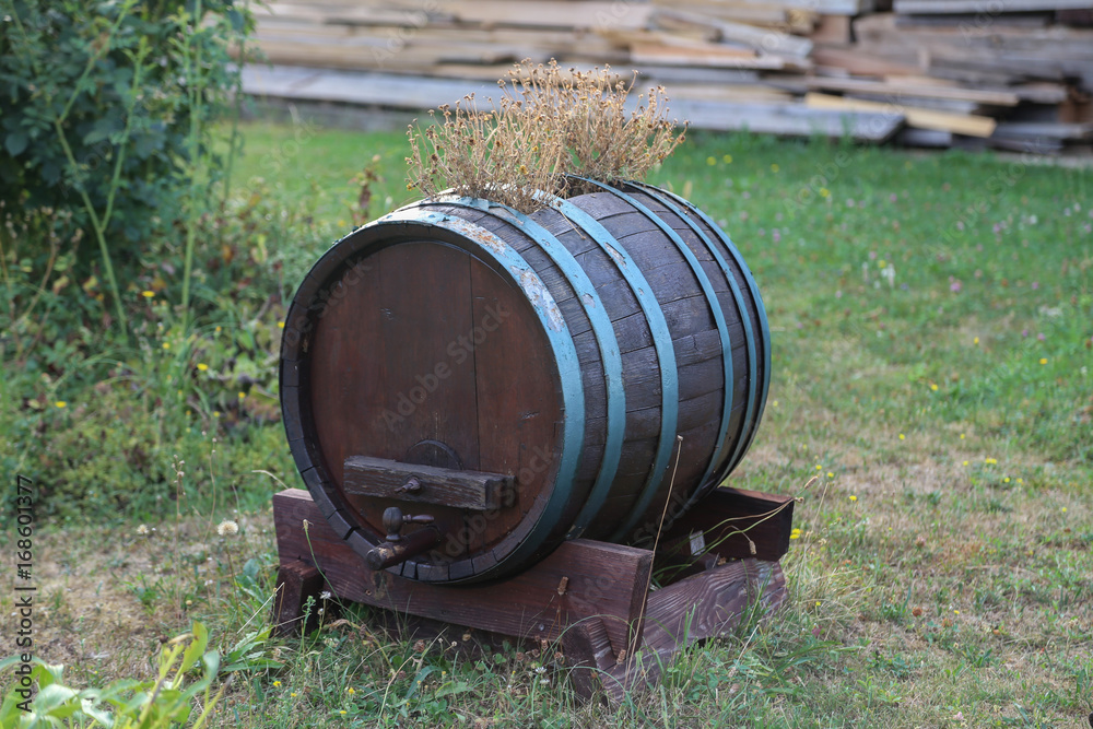 The dried flowers in an old wine barrel