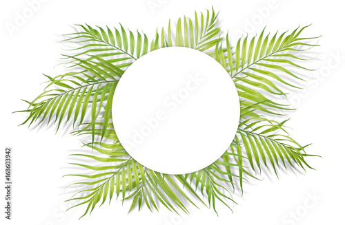 Tropical palm leaves with white paper on white background. Minimal nature. Summer Styled.  Flat lay.  Image is approximately 5500 x 3600 pixels in size