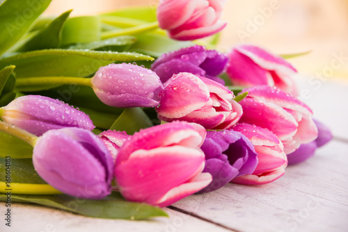 Bouquet of pink and violet tulip flowers