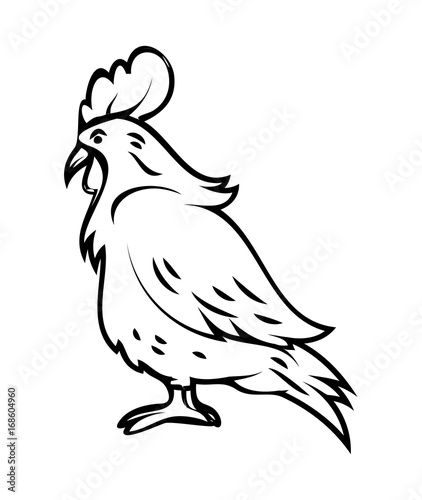 Rooster Drawing Vector clipart