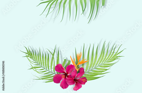 Tropical palm leaves on light blue background. Minimal nature. Summer Styled.  Flat lay.  Image is approximately 5500 x 3600 pixels in size