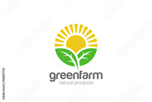 Sun rise Leaves Logo vector. Eco green Farm natural products